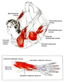 ускорете ускорете