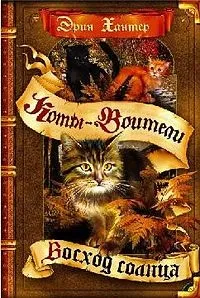 котки воини
