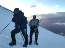 лотоса лотоса