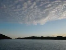куче таласъм