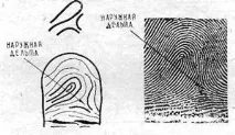 модели дъги