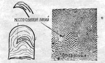 модели дъги