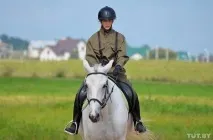 Гумор, коні, бальні танці, чоловічий стриптиз коні