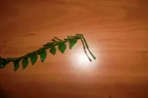 клас пластмаса