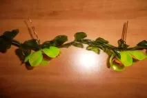къдрави цветя