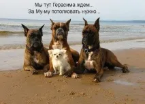 Взаємна вірність його