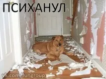 Взаємна вірність його