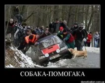 Взаємна вірність свого
