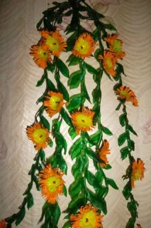 къдрави цветя