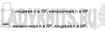 бебе бебе