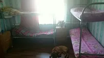 волейбол бадминтон здраве