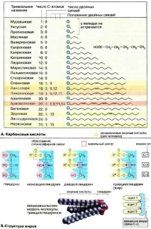 киселини киселини