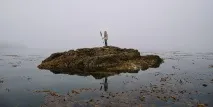 обратно изпрати