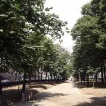 новости москва
