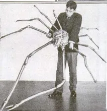 10 motive să-ți fie frică de crabul păianjen uriaș, Creu
