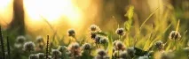 платформа agronews