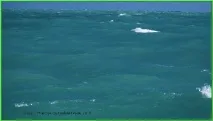 Арафурське море - карта клімат флора фауна Арафурського моря карта