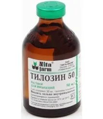 медицина медицина
