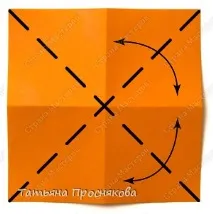 птица основна