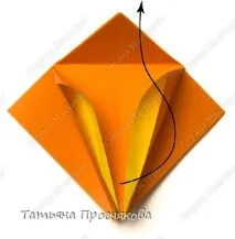 основна страна