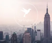 App Store Surfingbird. Як залипнути в Інтернеті інтернеті