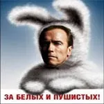 което културизъм