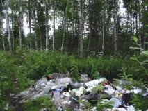 правим страната