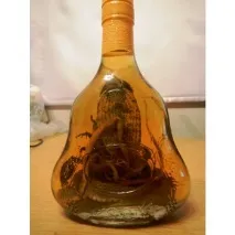 скорпион вътре