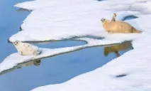 моря