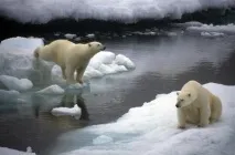 його