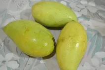 какво донесете