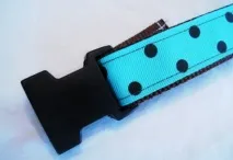 нашийник куче