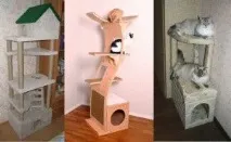 снимка собствените