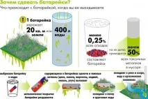 Чи повинні прості люди, думати про екологію Чи це проблема держави повинні