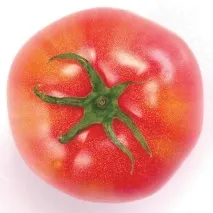шкіру