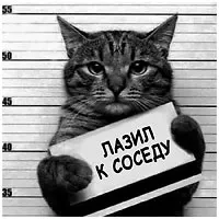 курорт домашни любимци