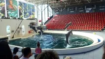Екскурсія до Варни з відвідуванням дельфінарію екскурсія