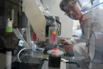 Надрукована на 3D-принтері печінка здатна нормально функціонувати протягом 40 днів печінка