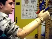 Напад акул на людей в українському Примор’ї у 2011 році акул