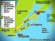 Напад акул на людей в українському Примор’ї у 2011 році акул