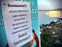 Напад акул на людей в українському Примор’ї у 2011 році акул