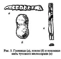 коприна пашкуловата нишка