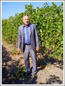 бившата линия