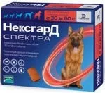 фронтлайн