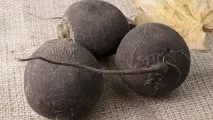 къде репички