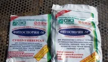 лечение лечение