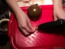 дърво кафе