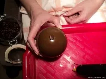 дърво кафе зърна