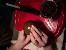 държи здраво дърво