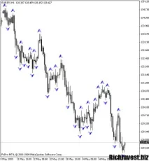 forex 2019